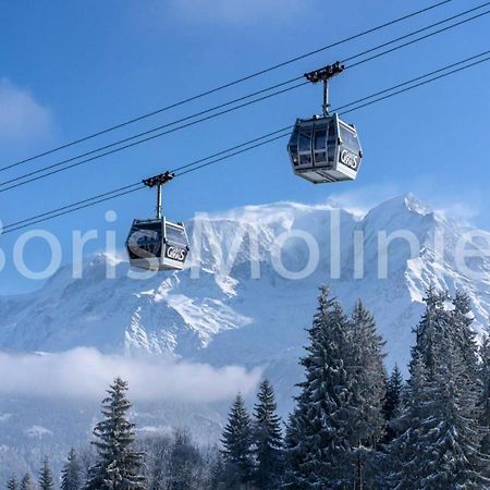 Residence Le Grand Panorama - Grand Panorama 202 Mae-5294 Сен-Жерве-ле-Бен Екстер'єр фото